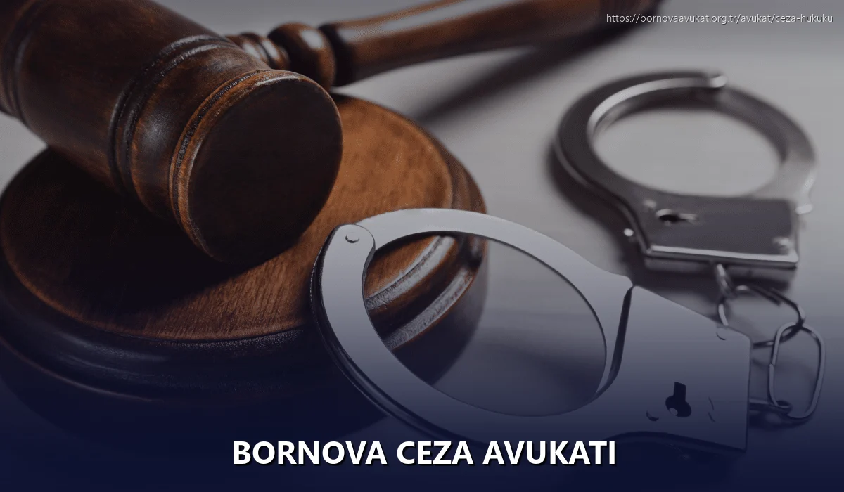 Bornova Ceza Avukatı