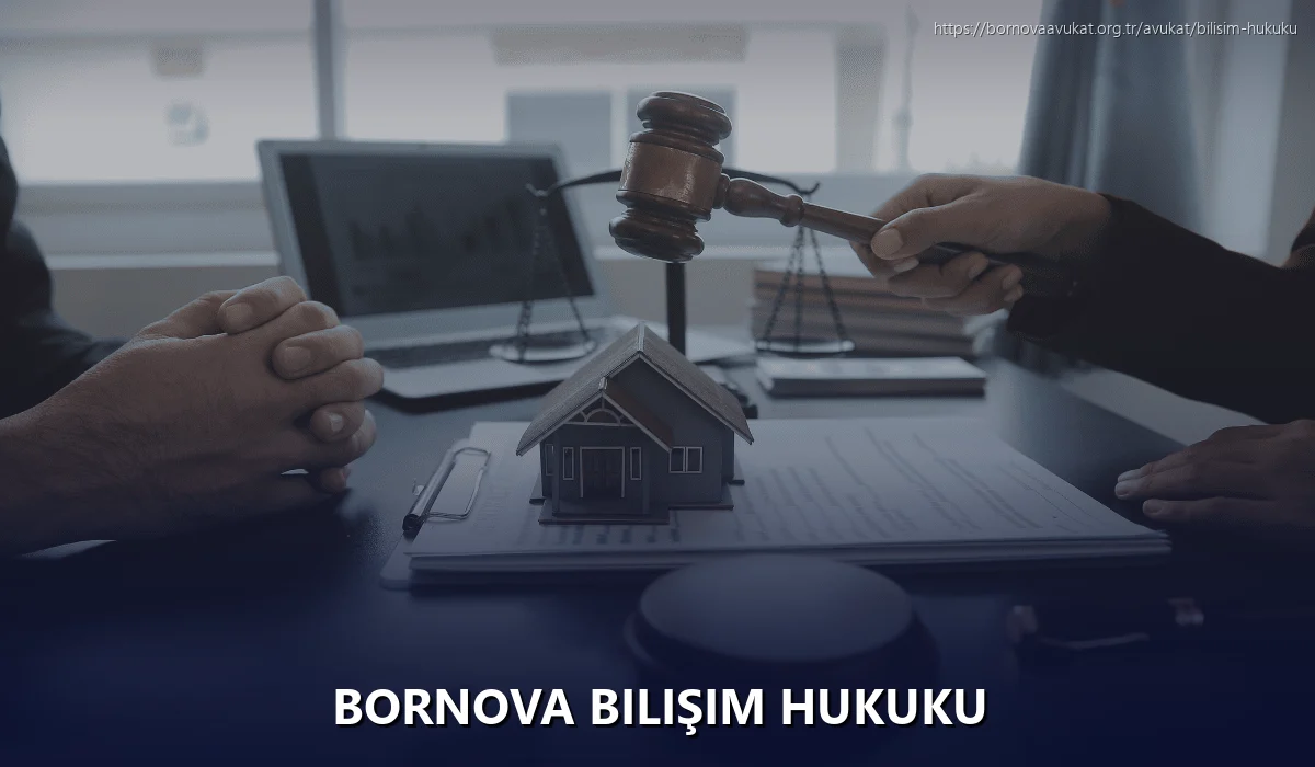 Bornova Bilişim Hukuku